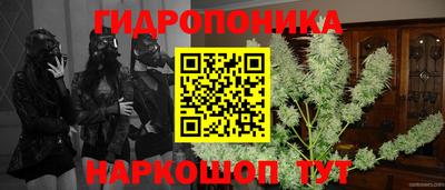 прущая мука Пугачёв